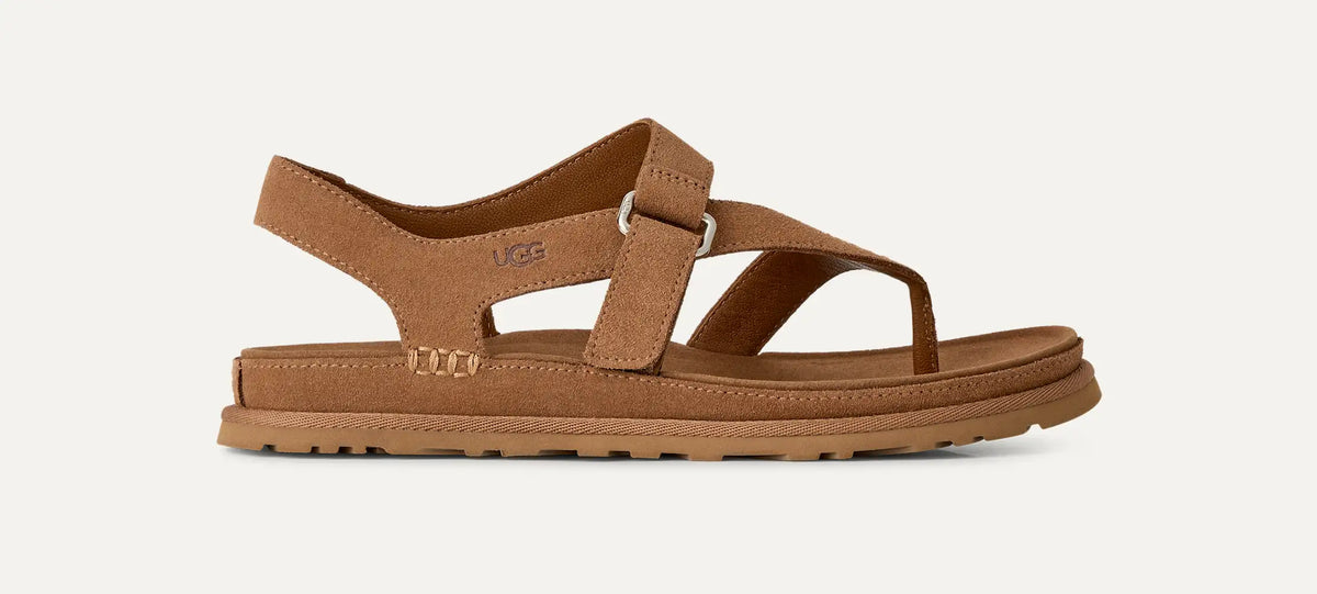 Women's GoldenGaze Toe Post - CHESTNUT