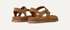 Women's GoldenGaze Toe Post - CHESTNUT