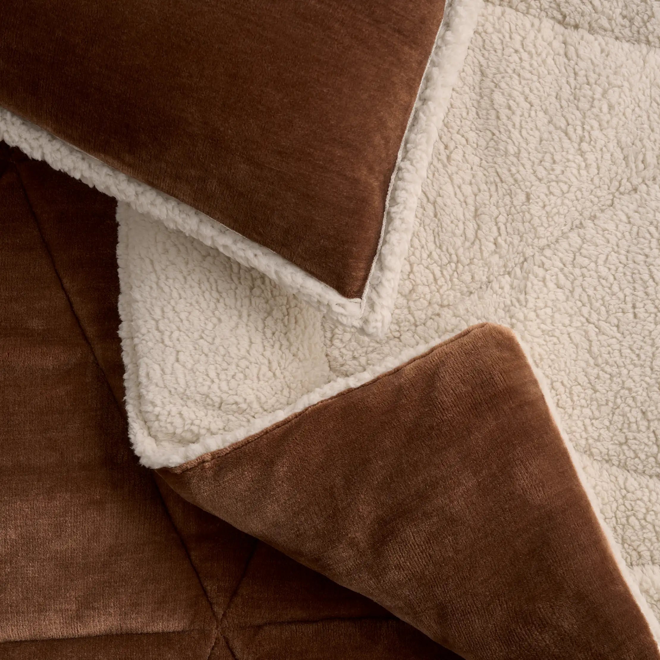 Home Avery Comforter Set Twin/TXL - CHESTNUT / CREAM