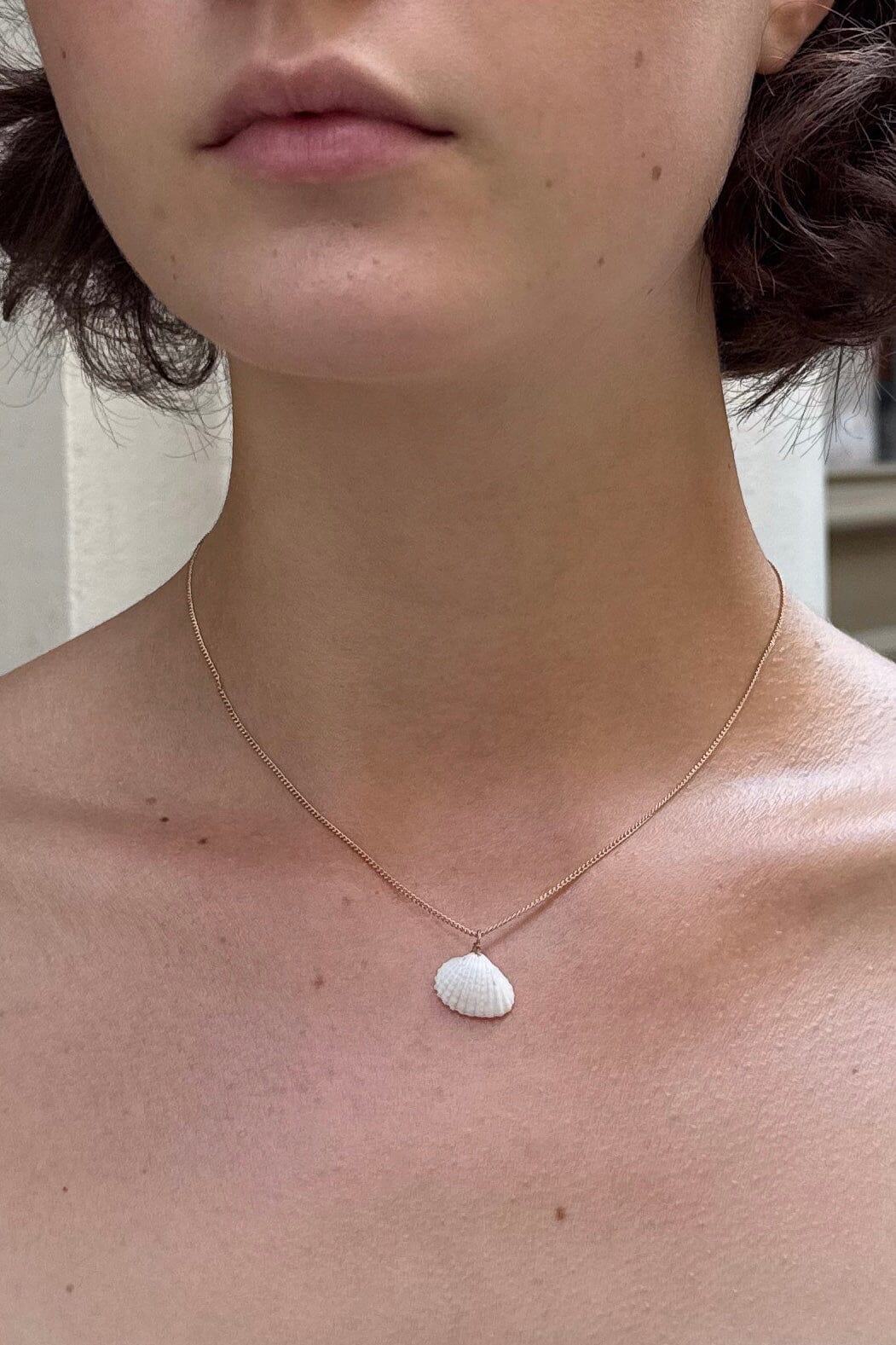 Seashell Necklace