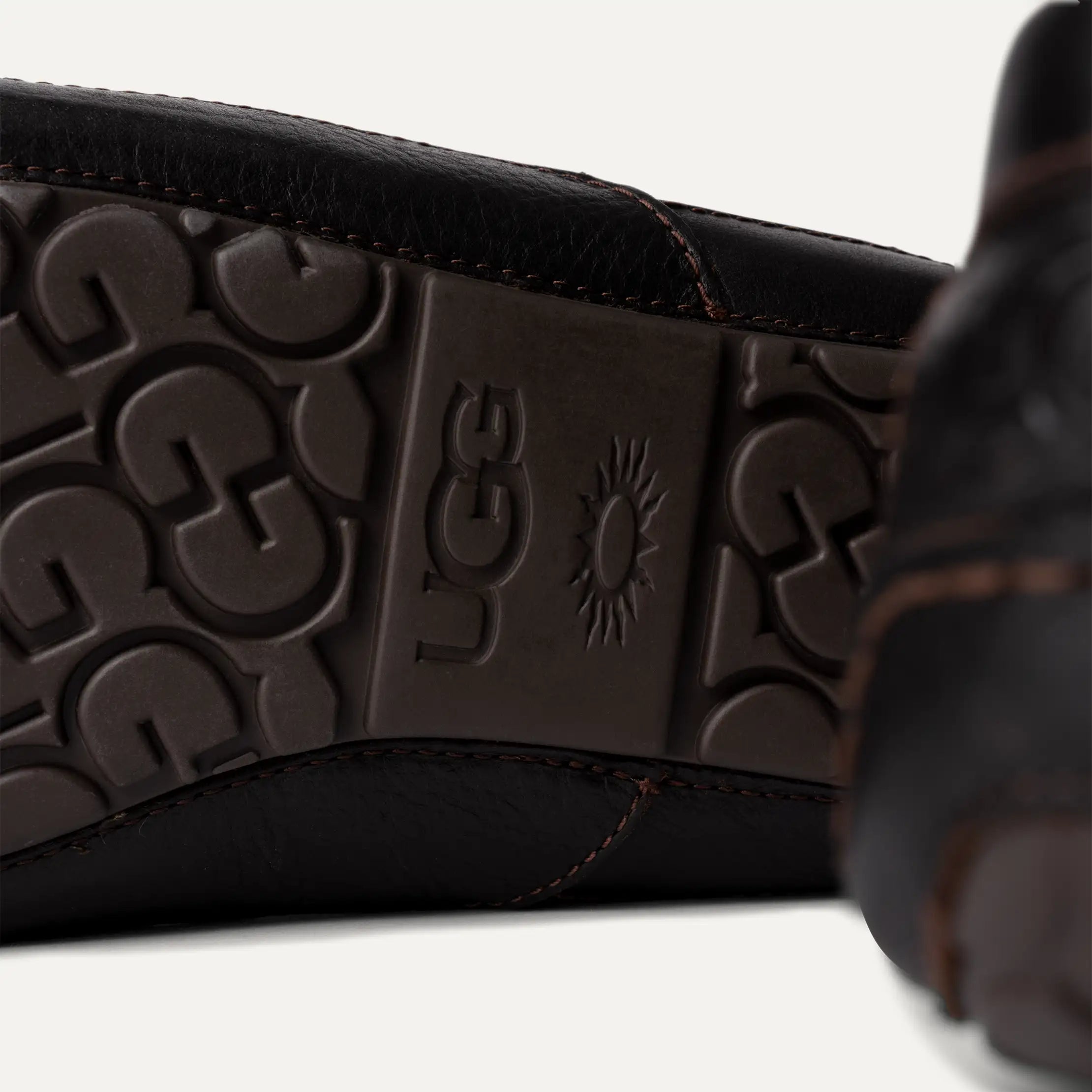 Men's Ascot - DARK SPICE