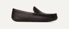 Men's Ascot - DARK SPICE
