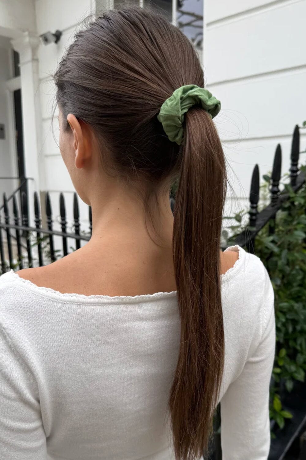 Light Olive Green